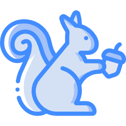 Squirrel icon