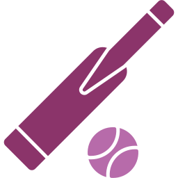 Cricket bat icon