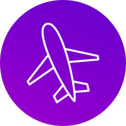 compagnia aerea icona