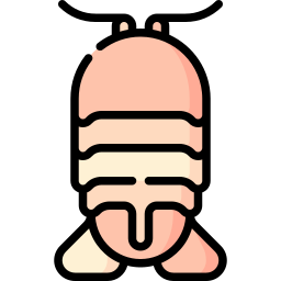 Sea isopod icon