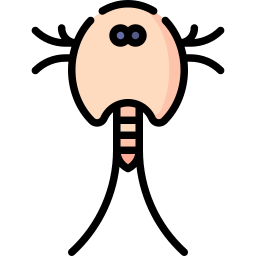 Креветки-головастики иконка