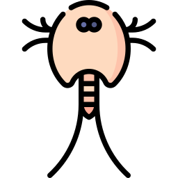 Tadpole shrimp icon