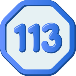 113 icona