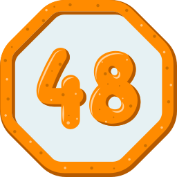 Forty eight icon