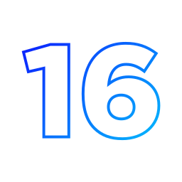 numer 16 ikona