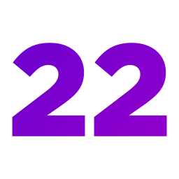 numer 22 ikona
