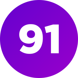 91 Ícone