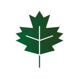 Fall leaf icon