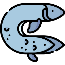 Двоякодышащая рыба иконка