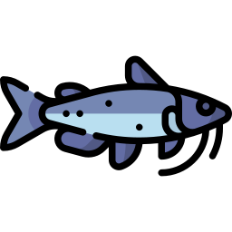 peixe-gato Ícone