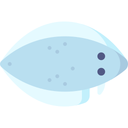 舌魚 icon