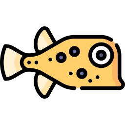 pesce scatola icona