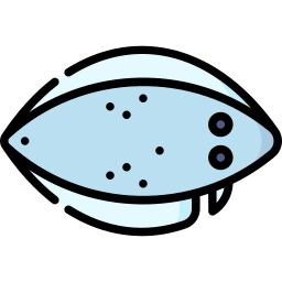 舌魚 icon