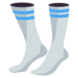 Socks icon