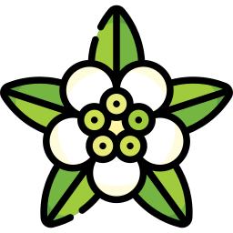 카게네키아 icon