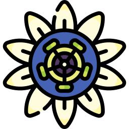 passiflora ikona