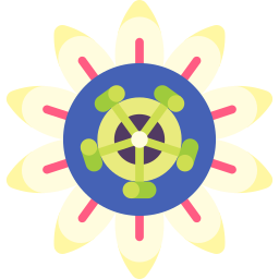 passiflora ikona