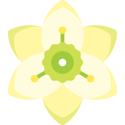 lilia amazońska ikona