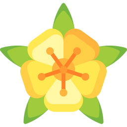 Turnera ulmifolia icon