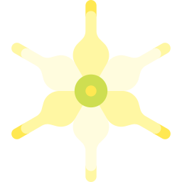 jaborosa integrifolia icon