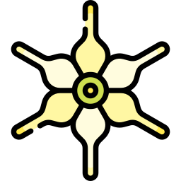 ジャボローサ・インテグリフォリア icon