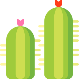Mexican lime cactus icon