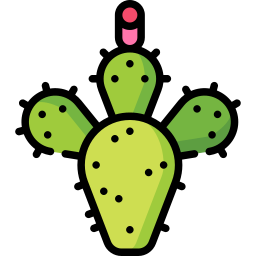 cactusvijg icoon