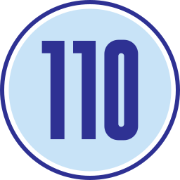 110 icon