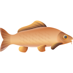 Carp icon