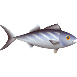 Bonito fish icon