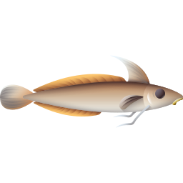 poisson merlu blanc Icône