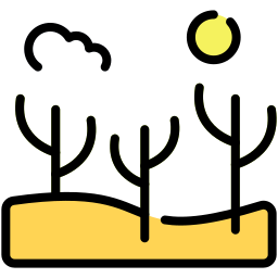 Desert icon