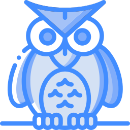 hibou Icône