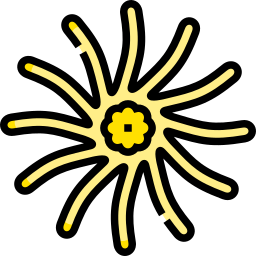 estrella de mar girasol icono