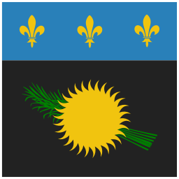 drapeau Icône