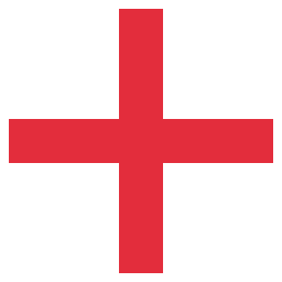 Flag icon