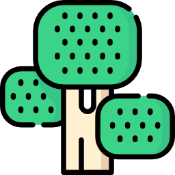 Broccoli icon