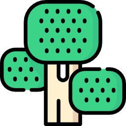 brocoli Icône