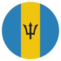 Flag icon