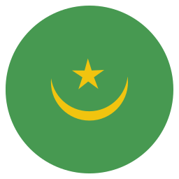 Flag icon