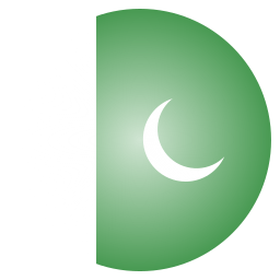 Flag icon