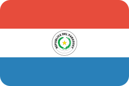 vlag icoon