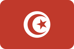 flagge icon