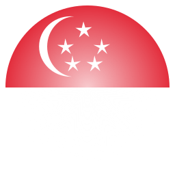 Flag icon