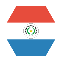 Flag icon