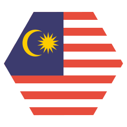 Flag icon