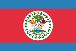 vlag icoon