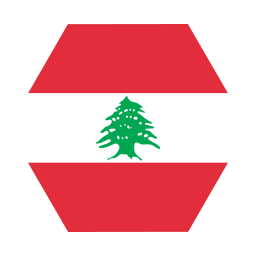 Flag icon