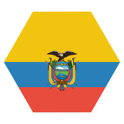 bandera icono