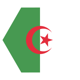 Flag icon